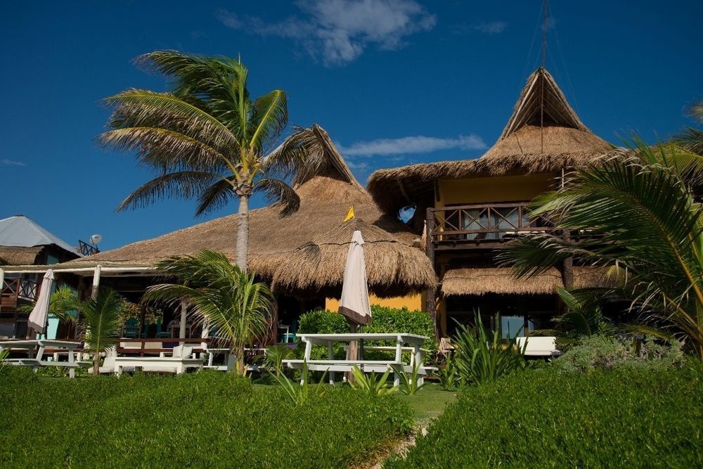 El Pez A Colibri Boutique Hotel Tulum Exterior photo