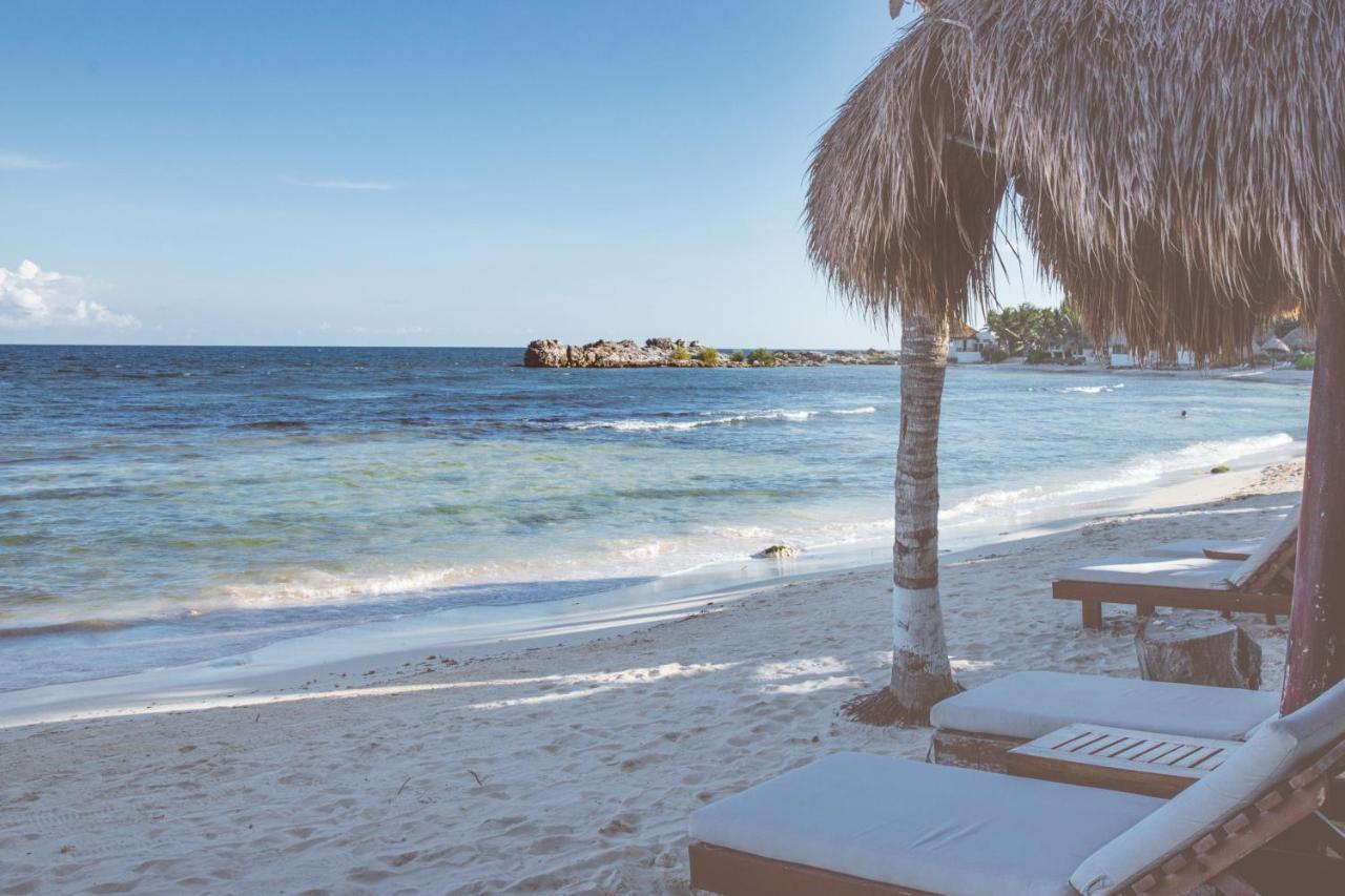 El Pez A Colibri Boutique Hotel Tulum Exterior photo